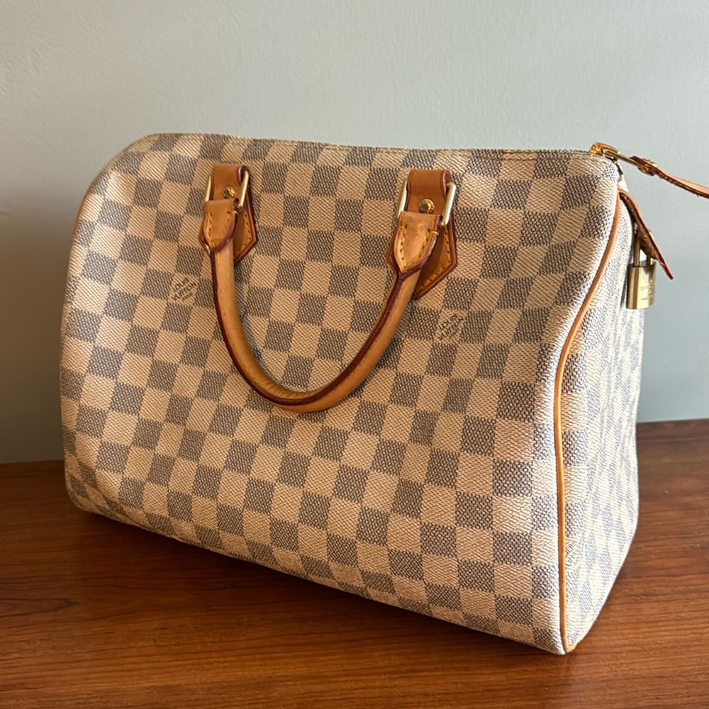 Louis Vuitton Damien Ebene speedy 30